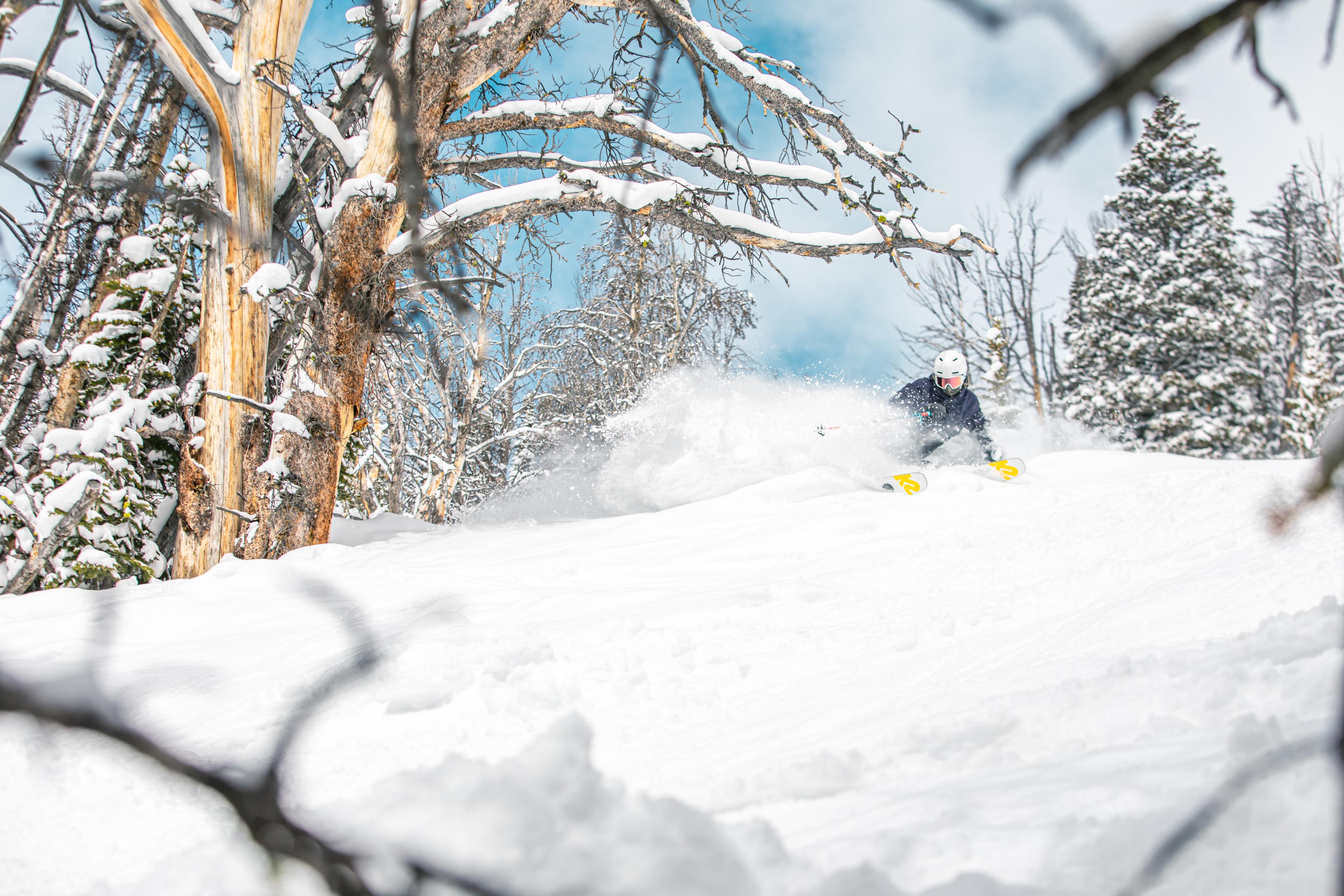skier in powder in the woods