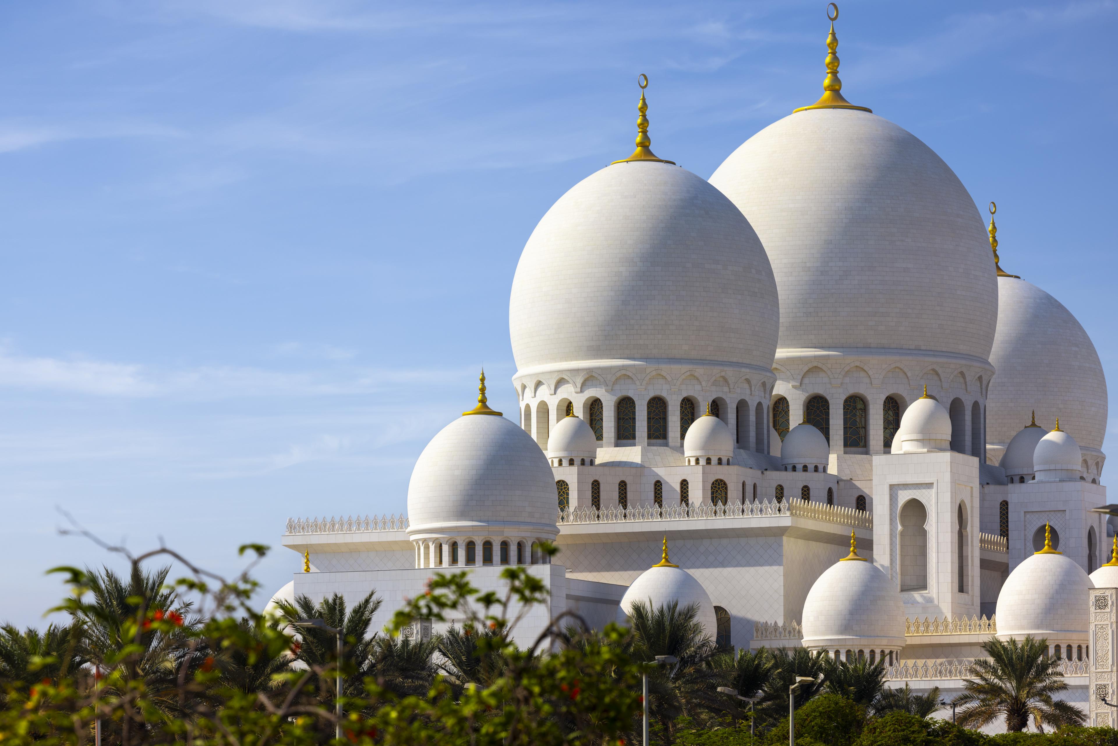 Sheikh Zayed Grand Mosque - The Domes - Day