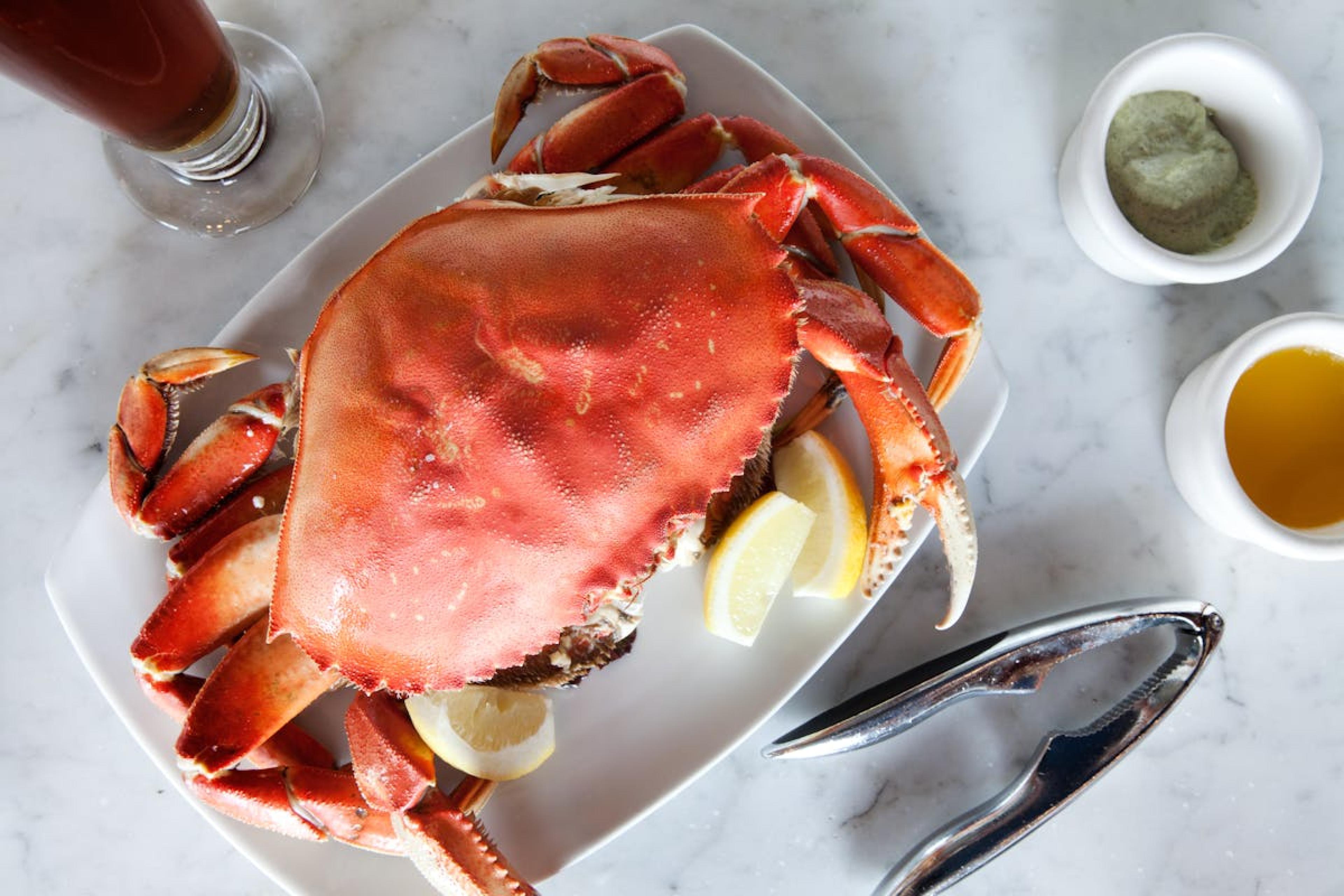 dungeness-crab