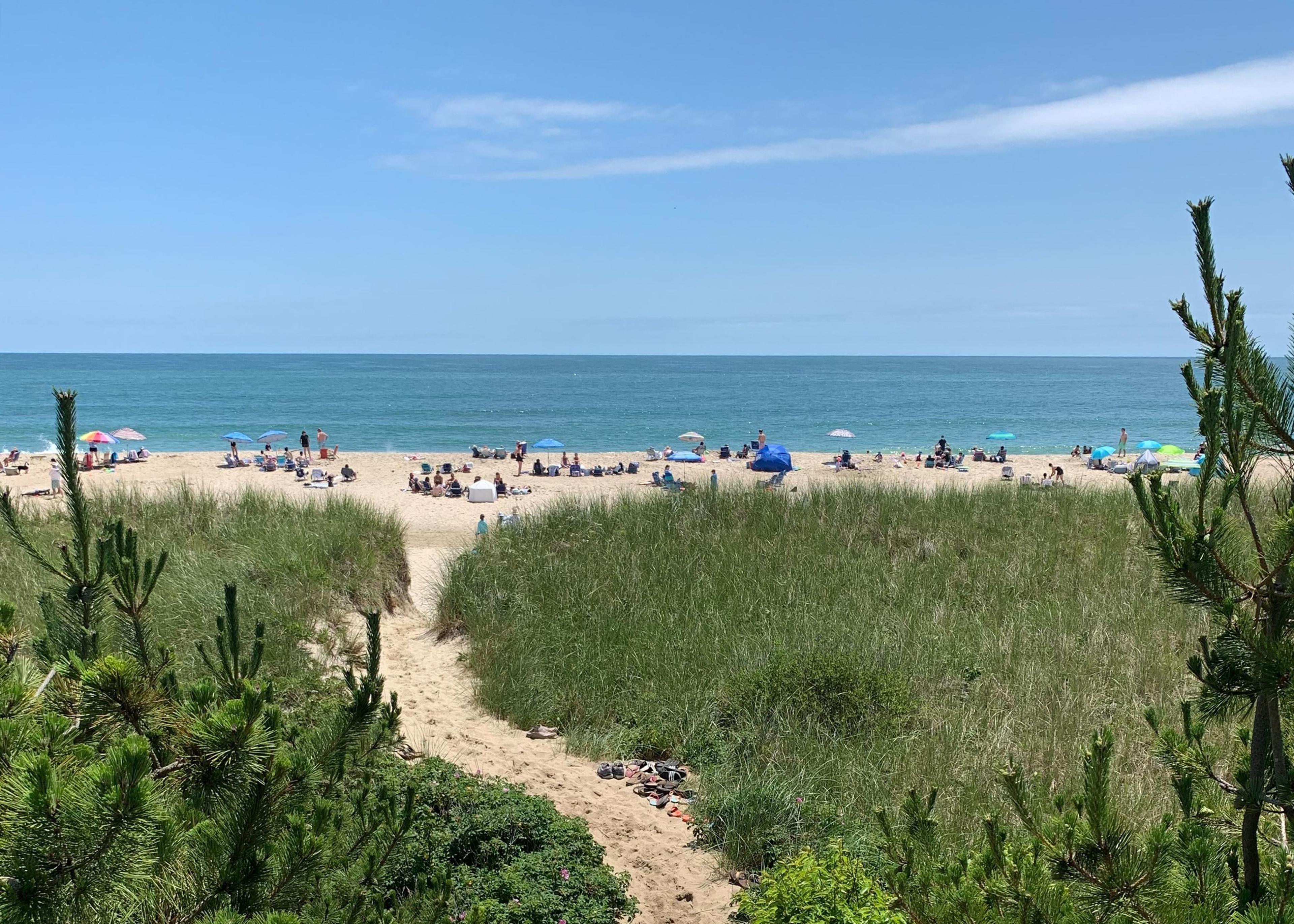 beach in nantucket viewed over grassy dunes on sunny summer day