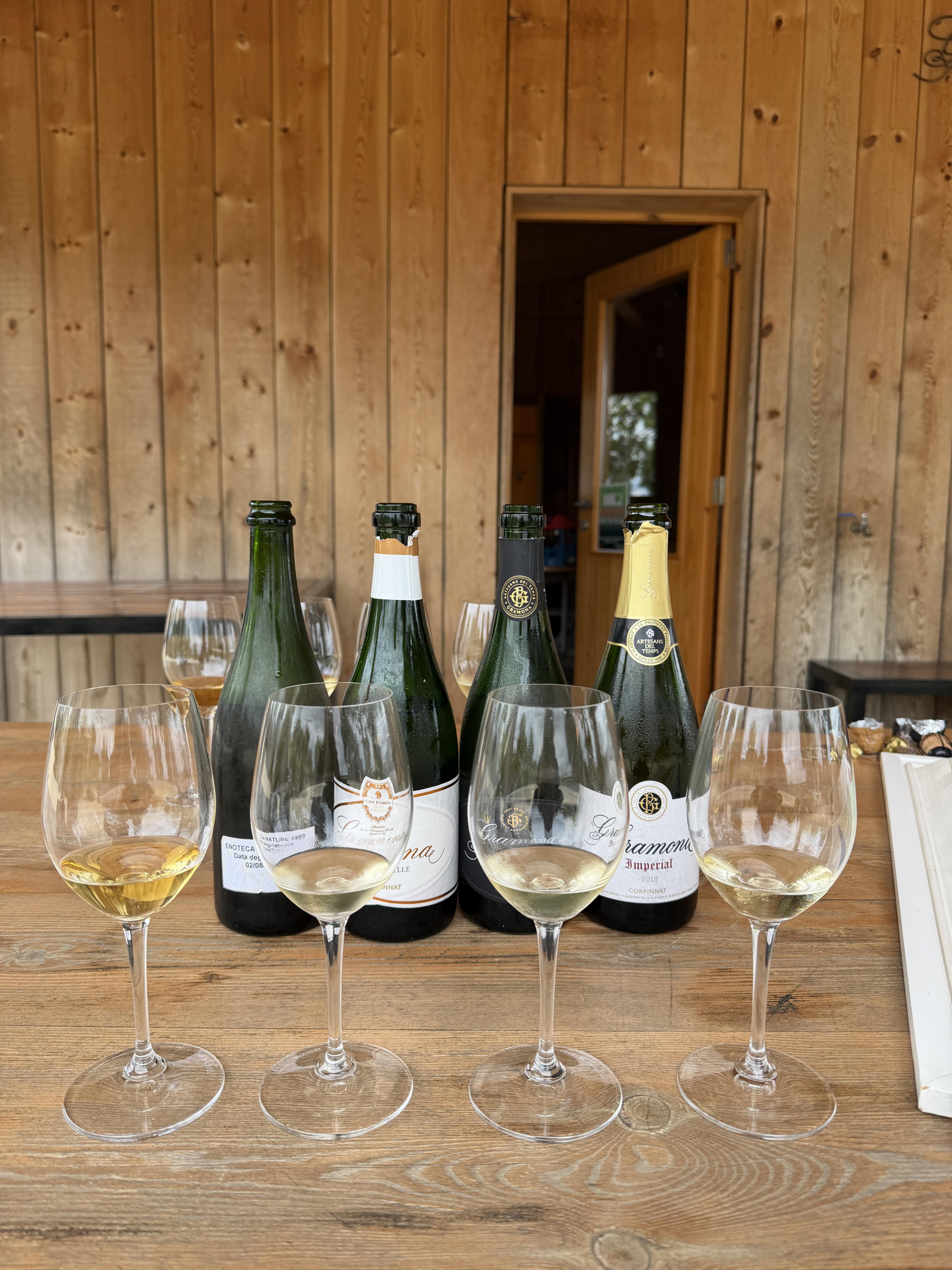 Four Gramona Corpinnat and Artesans del Temps bottles alongside poured tasting glasses on a wooden table at the Pinedes estate.