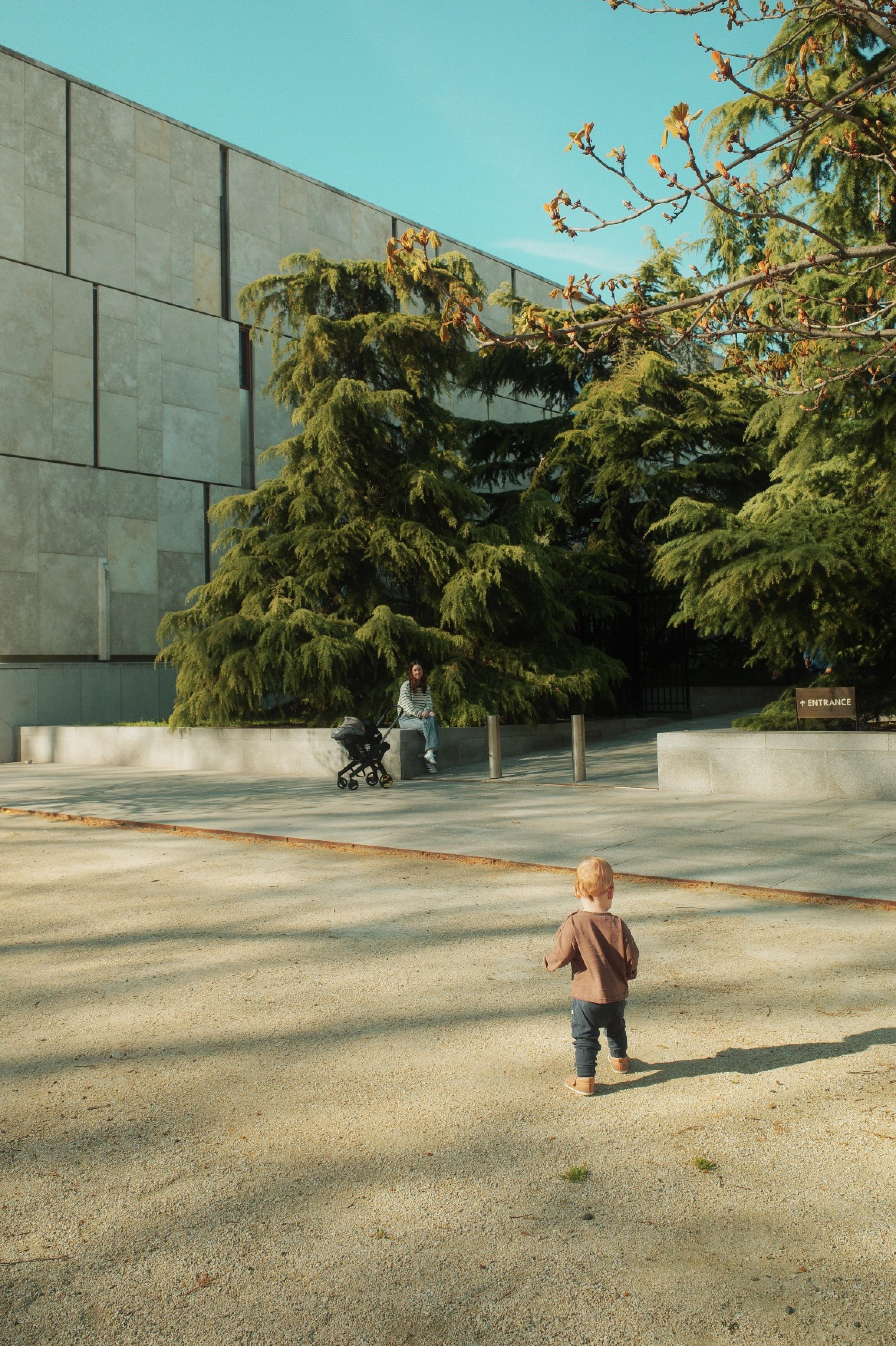 Barnes Foundation