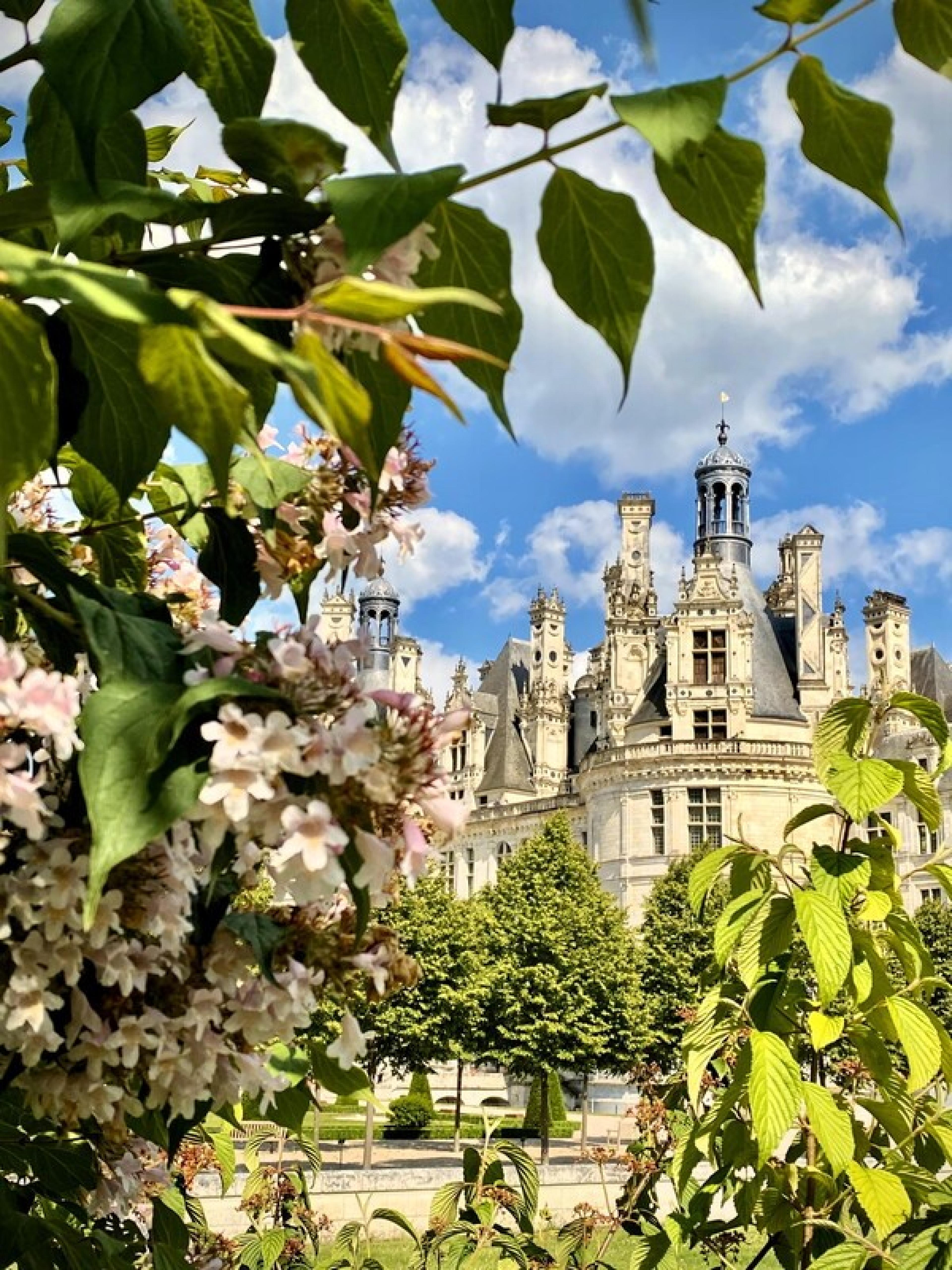 Barque Chambord Copyright Noelline Peltier -1_BD