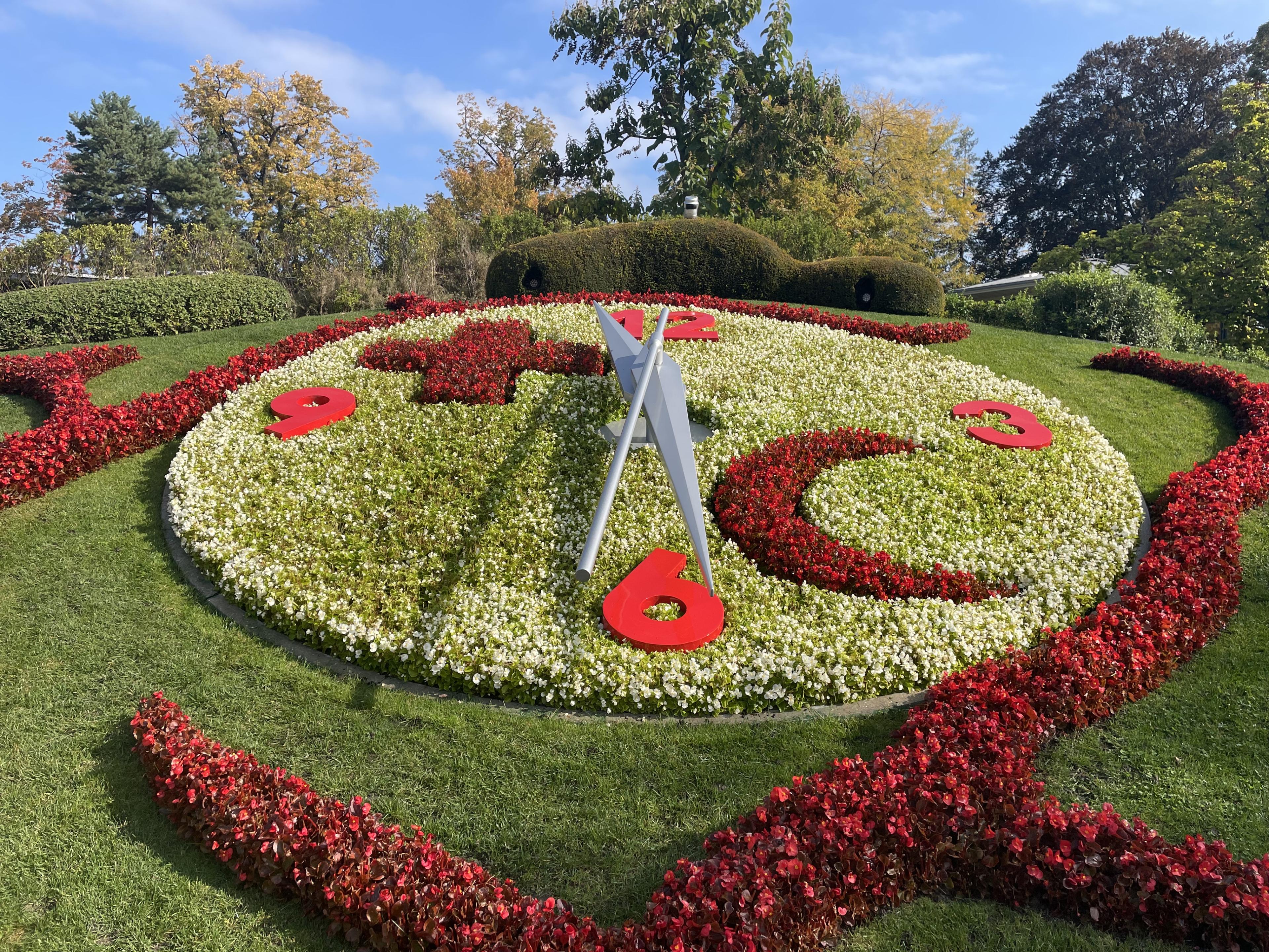 Large floral clock made of red and white flower beds in a landscaped garden, with hedges, autumn trees, and blue sky.