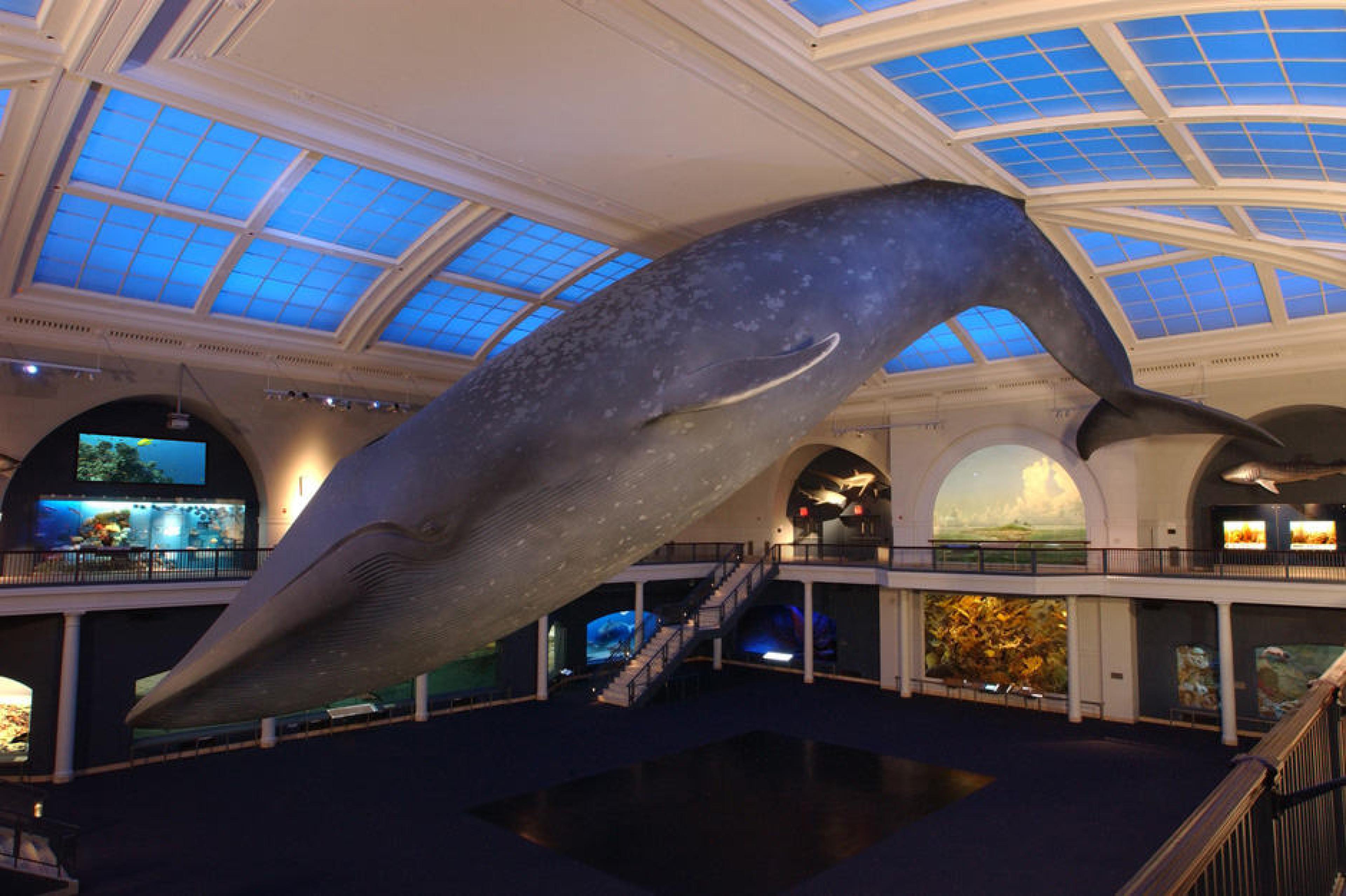 Things to Do In Manhattan | Top Attractions Curated by Indagare