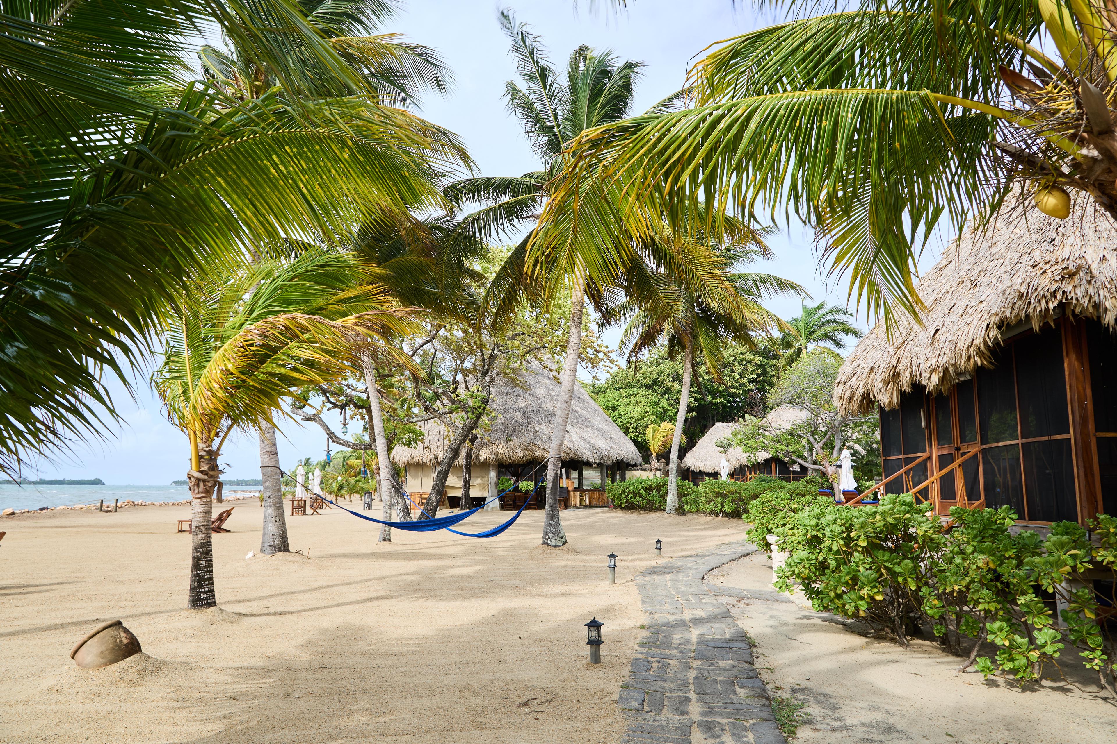 TurtleInn_Jun26_022