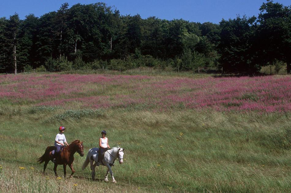 Indagare Access: Horseback Riding | Indagare Travel