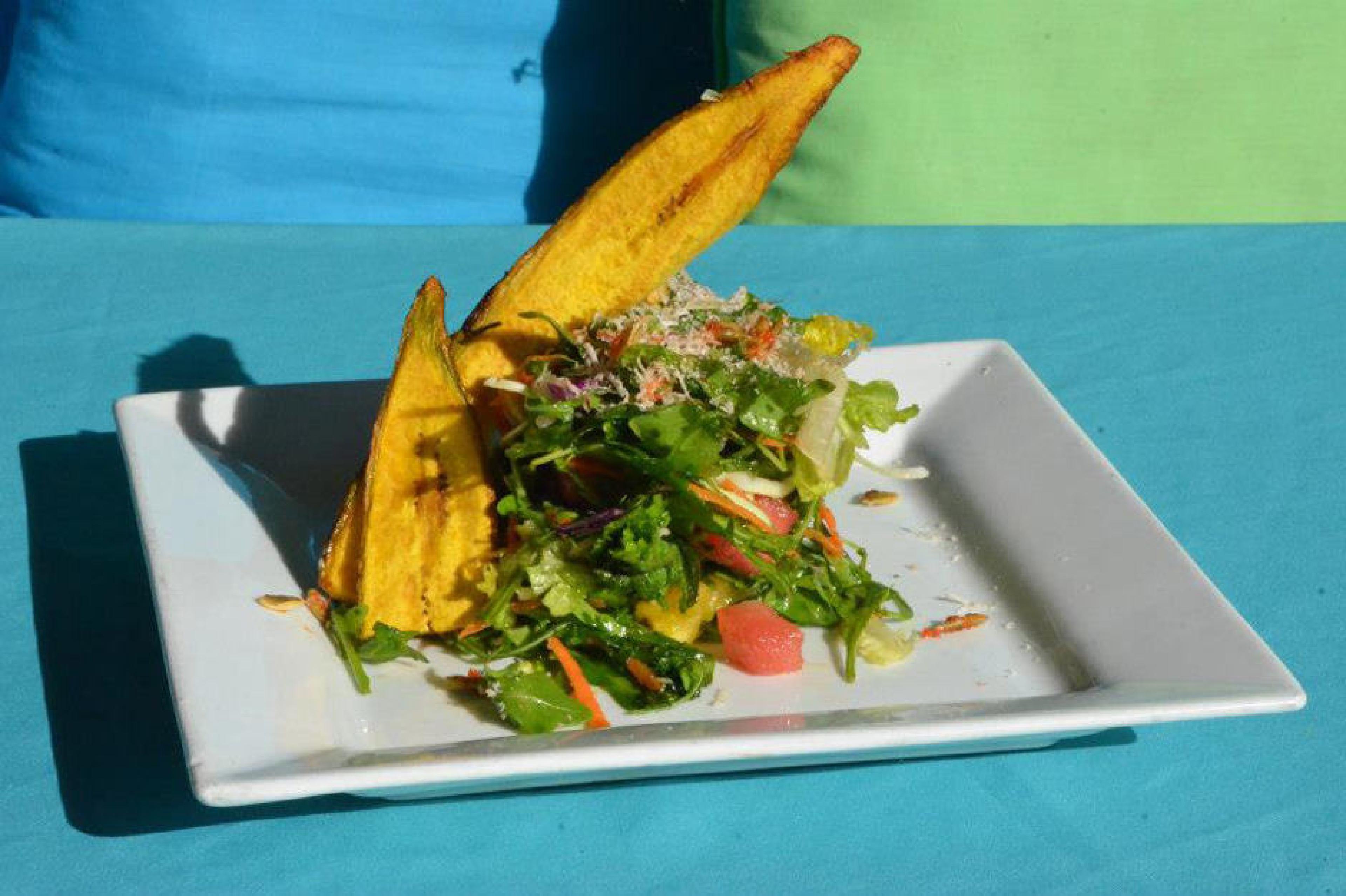 Best Puerto Rican Restaurant In Tampaterms Of Useterms Of Use - r3tmk7v