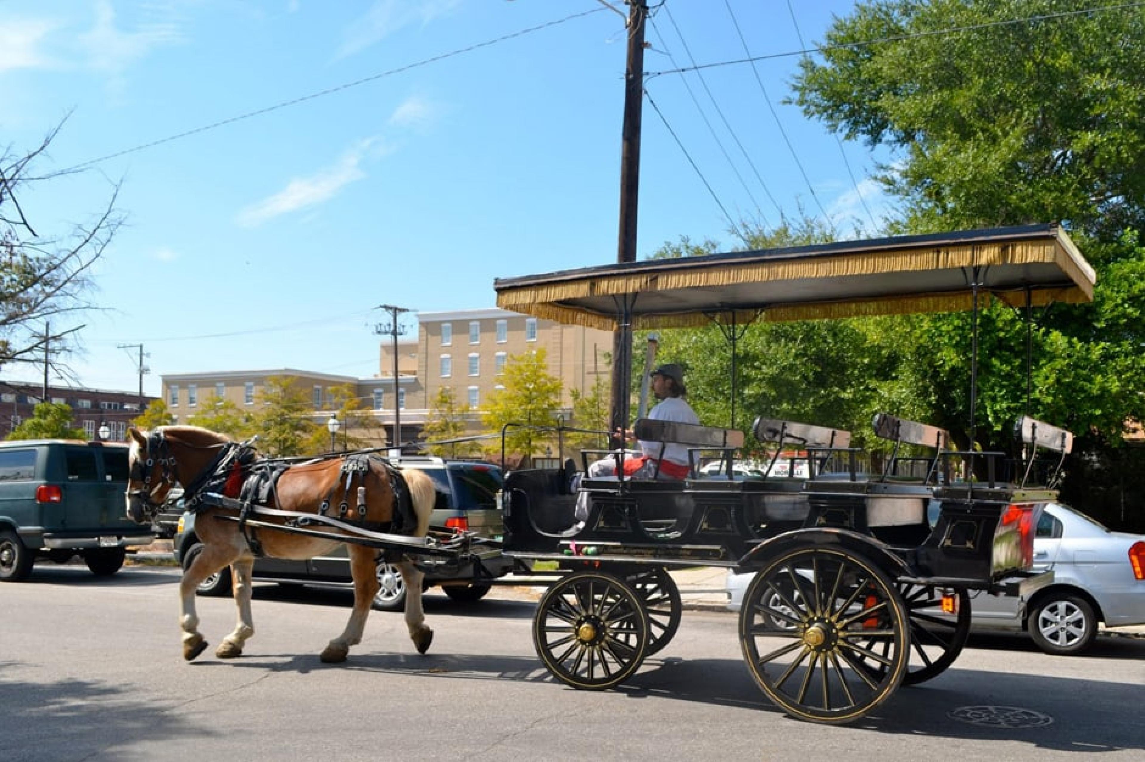Things to Do In Charleston | Top Attractions Curated by Indagare