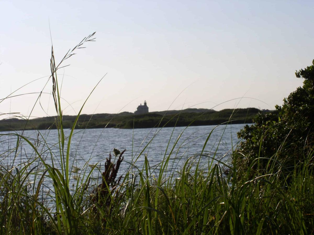 day-trip-block-island