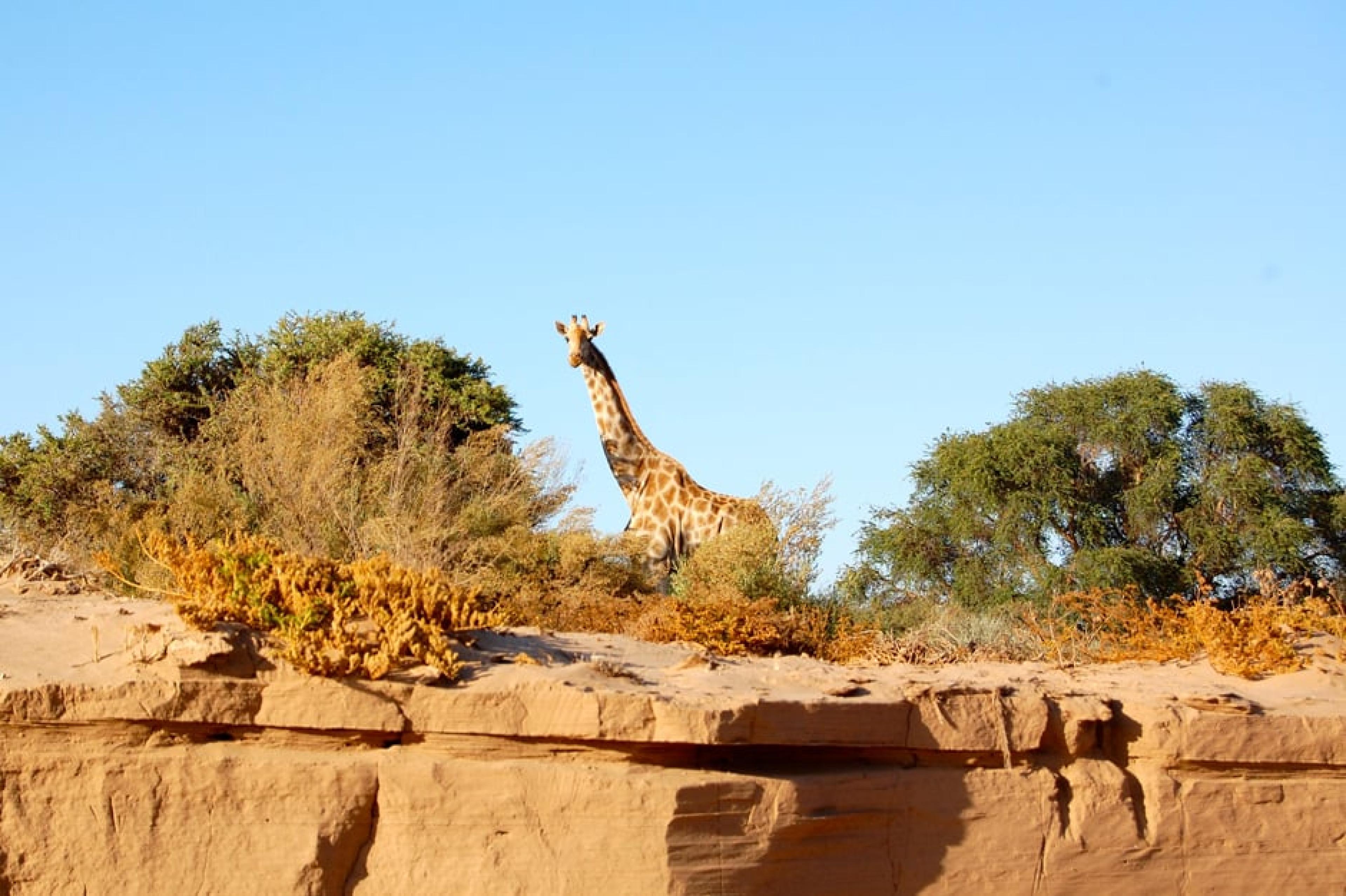 Things to Do In Namibia | Top Attractions Curated by Indagare