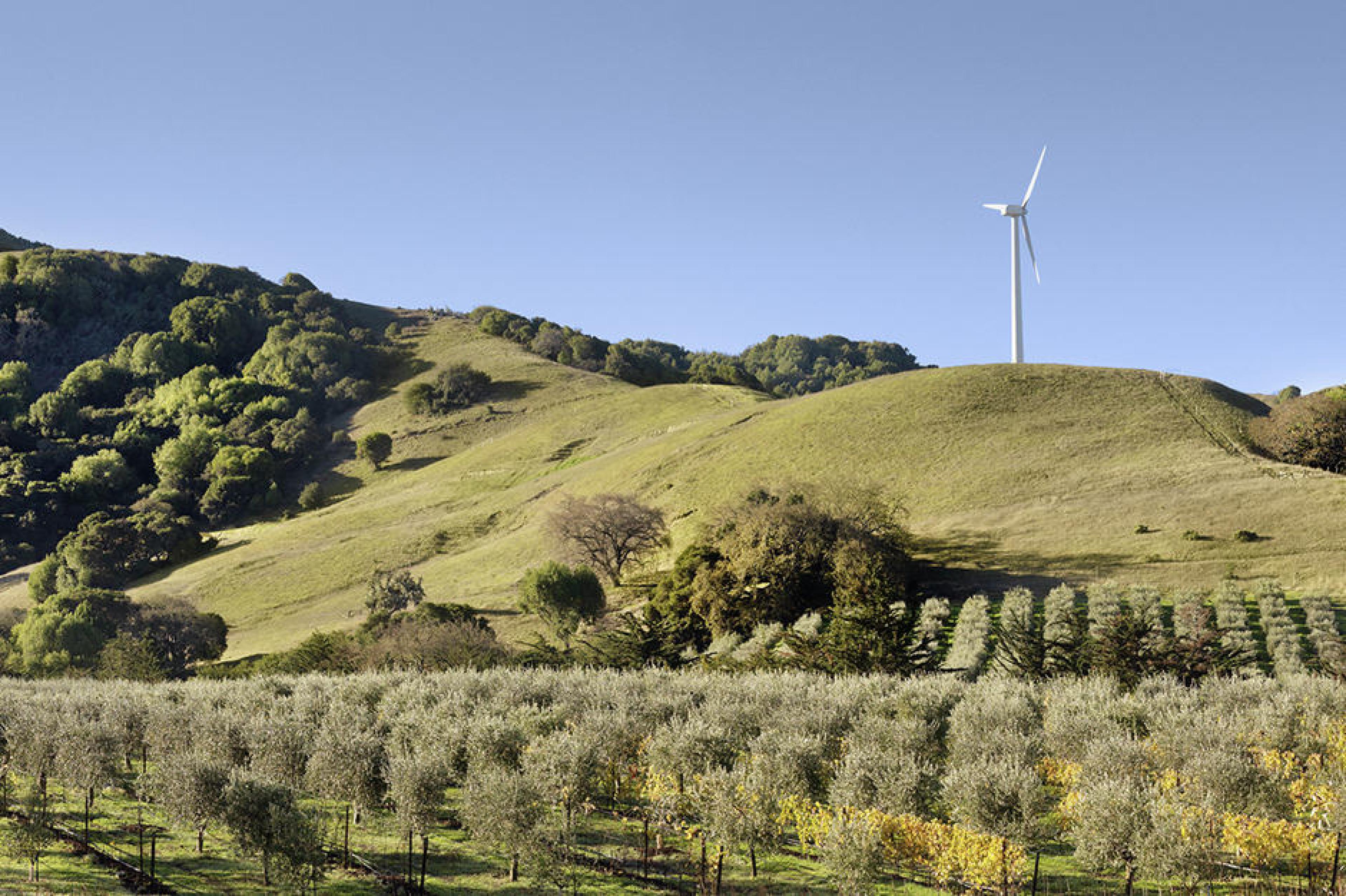 Things to Do In Sonoma | Top Attractions Curated by Indagare