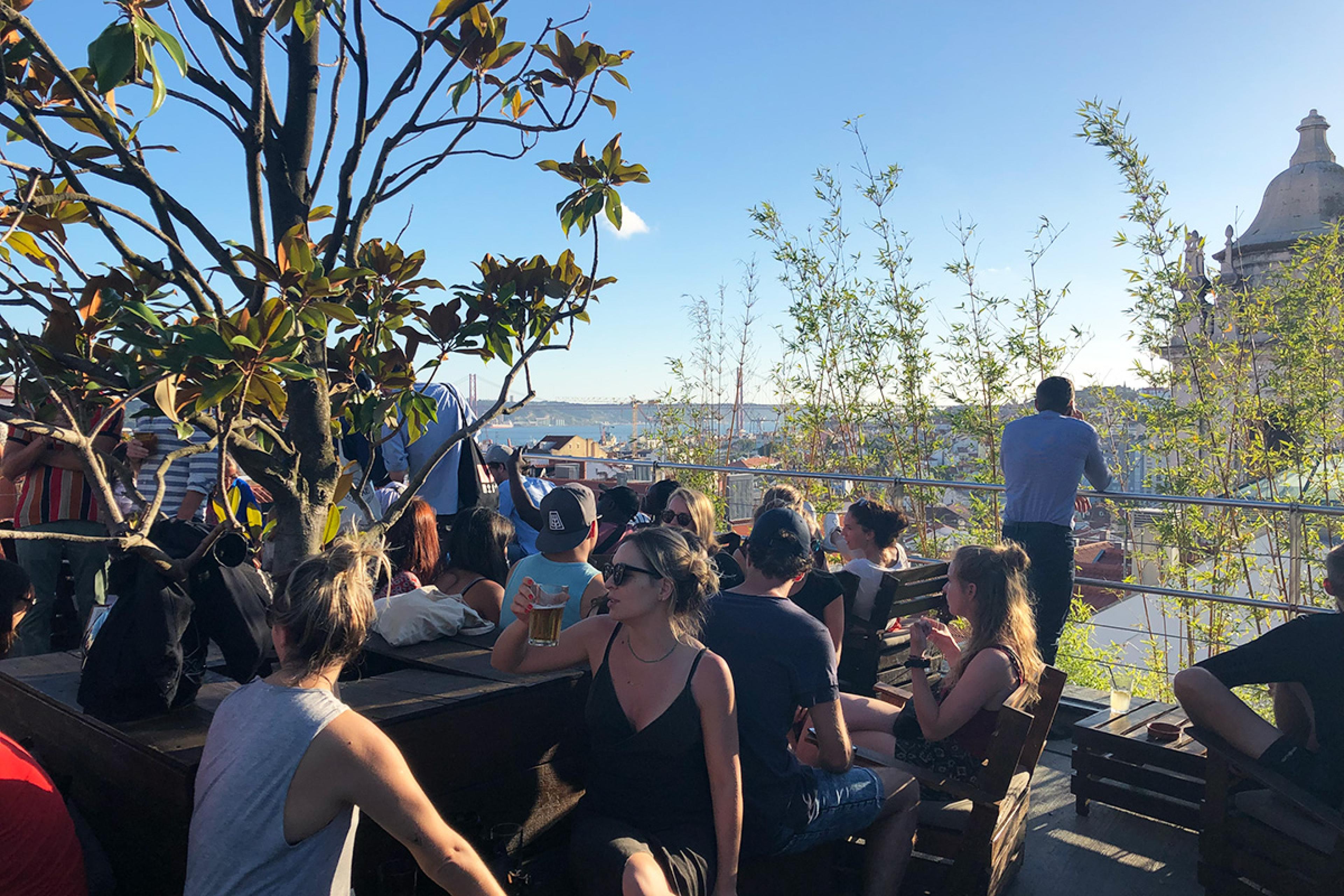 rooftop patio with plants