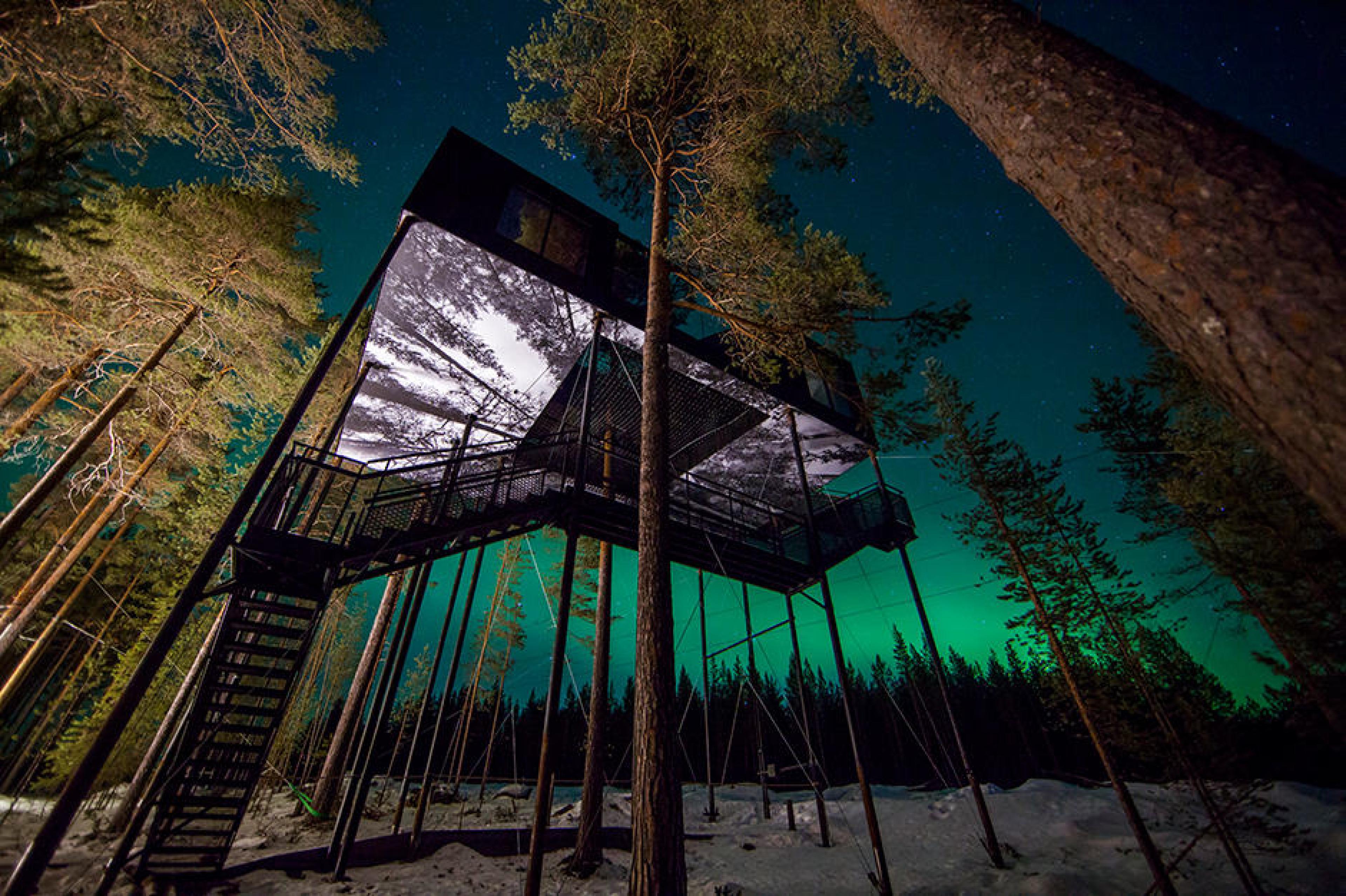 Swedish Tree Hotel The ICEHOTEL & Treehotel: A Unique Pairing | Best