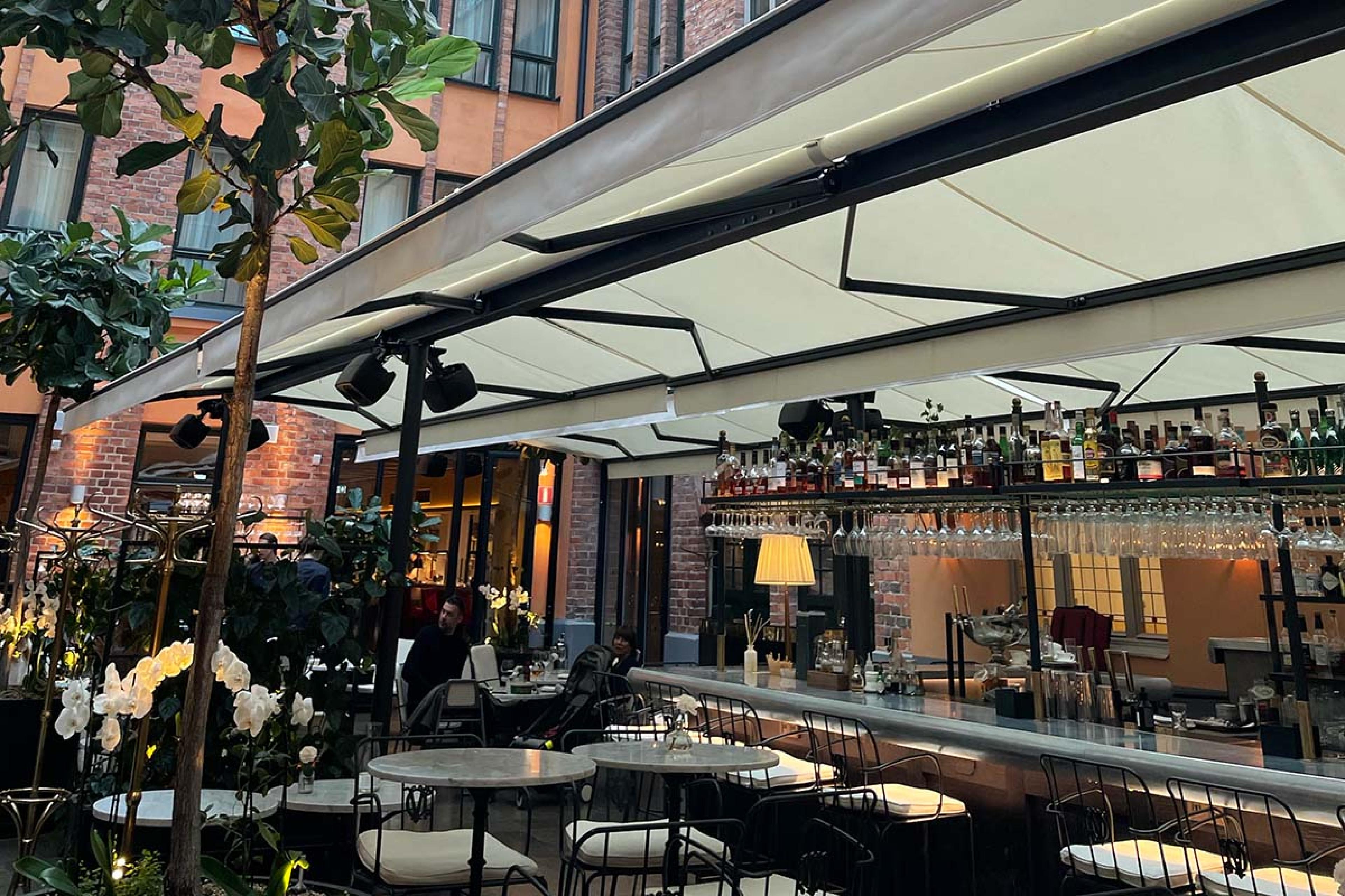 bar with upside down glasses and greenery