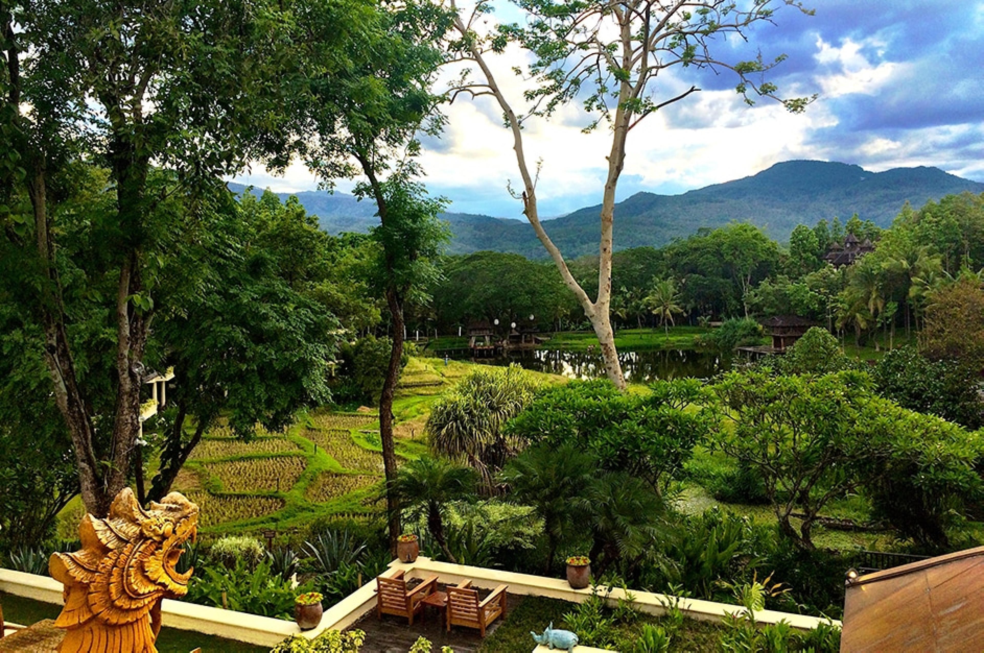 looking out over tropical gardens