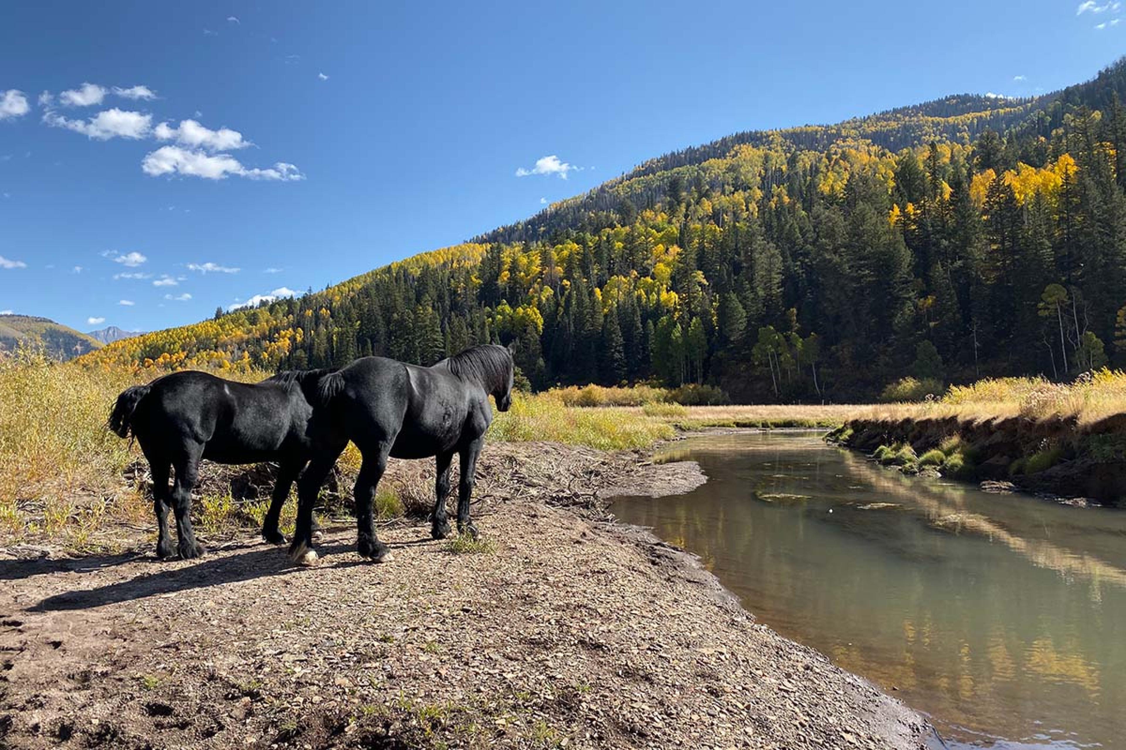 The Best Glamping Experiences in the U.S.