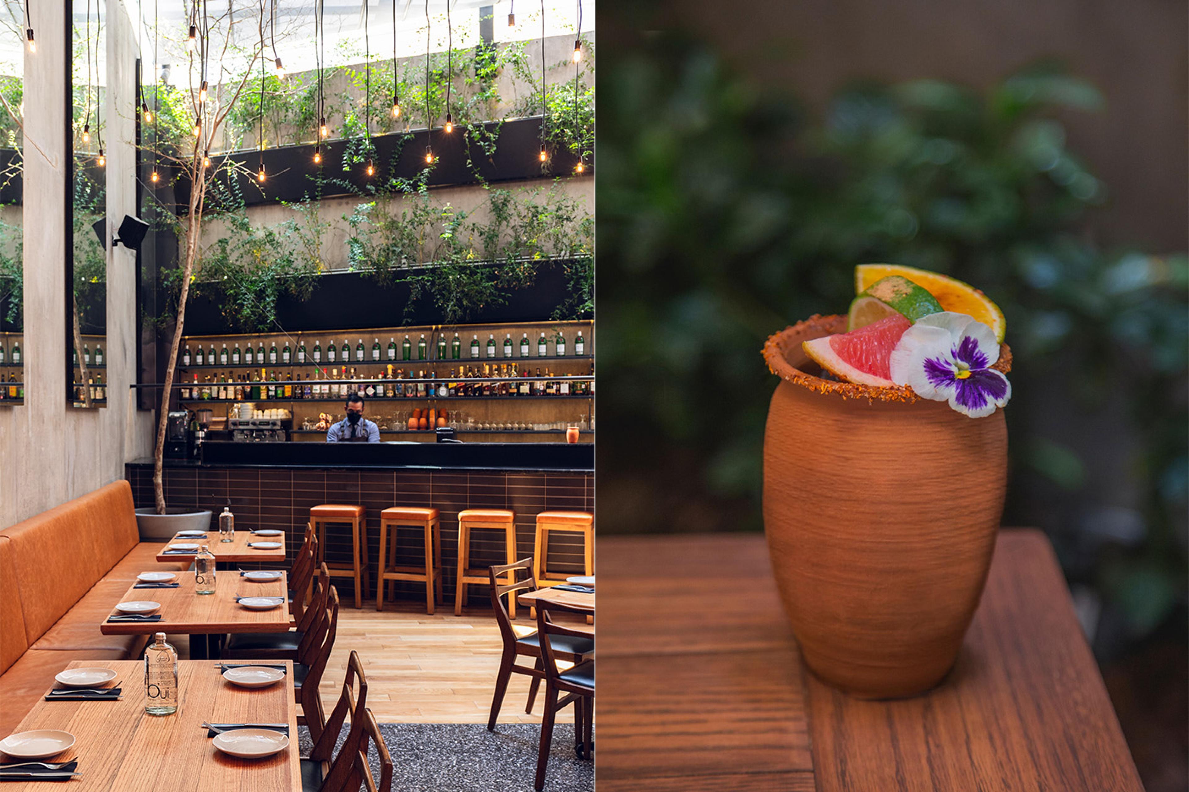 Best Mexico City Restaurants | Curated Dining by Indagare
