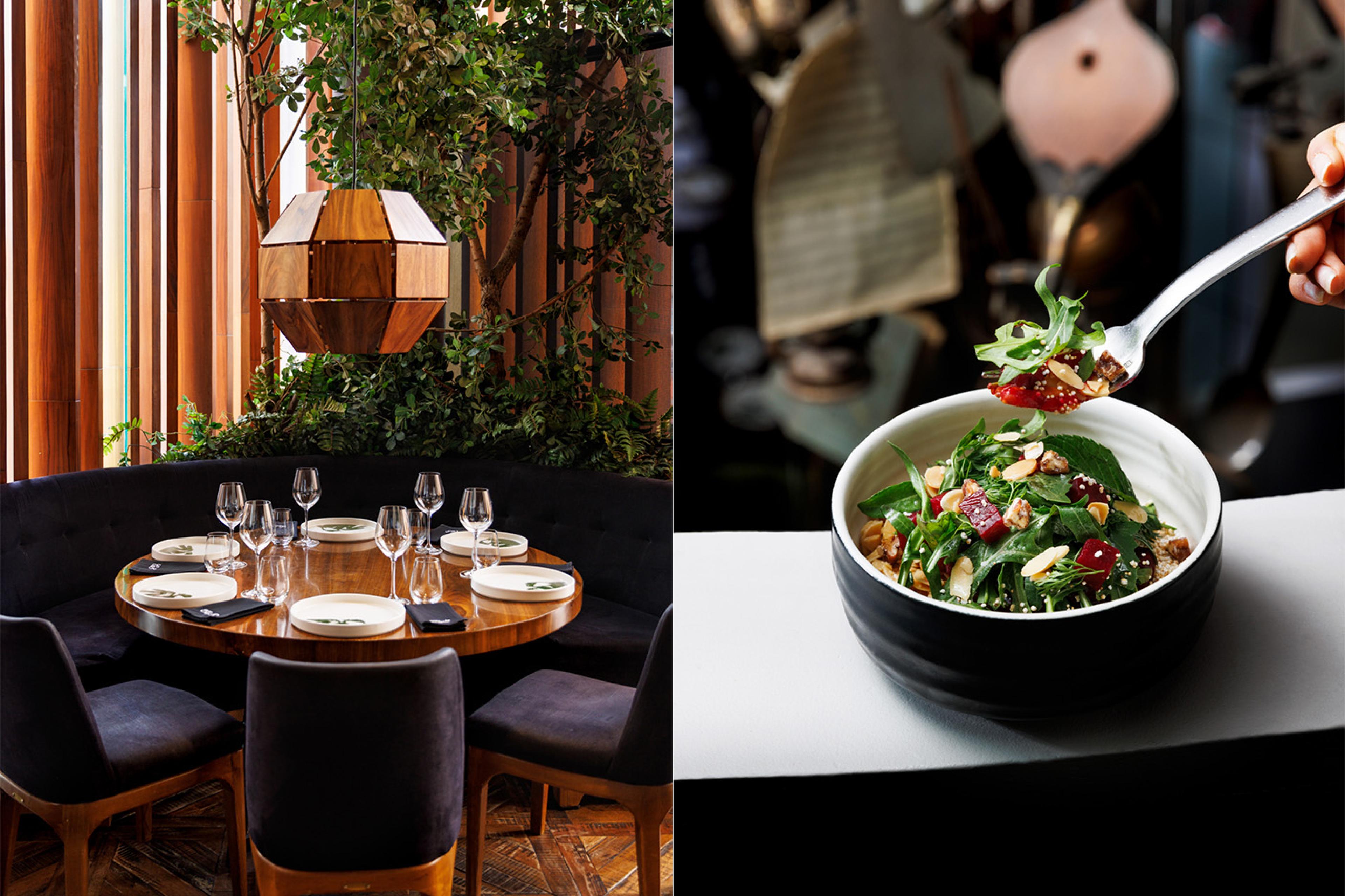 Best Mexico City Restaurants | Curated Dining by Indagare