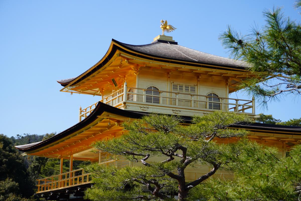 Travel Outlook Fall 2024: Indagare's Travel Trends Survey | Indagare Travel