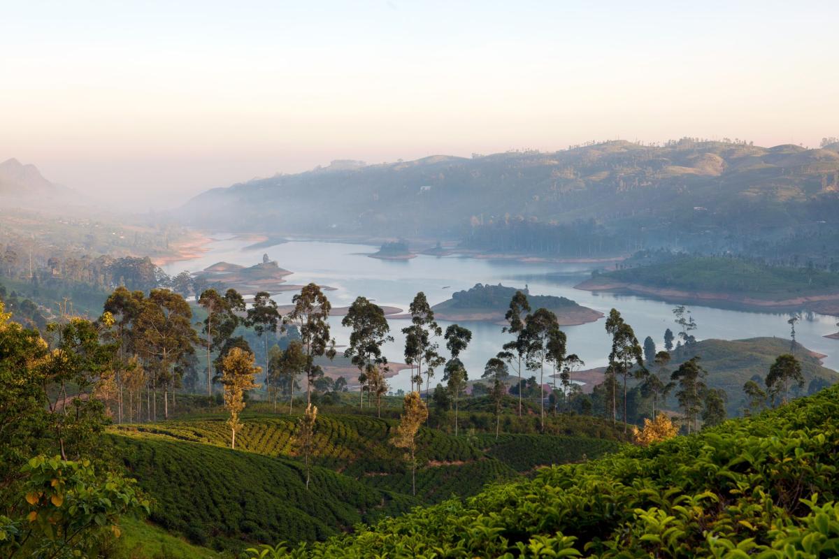Just Back From: A Privatized Indagare Journey to Sri Lanka