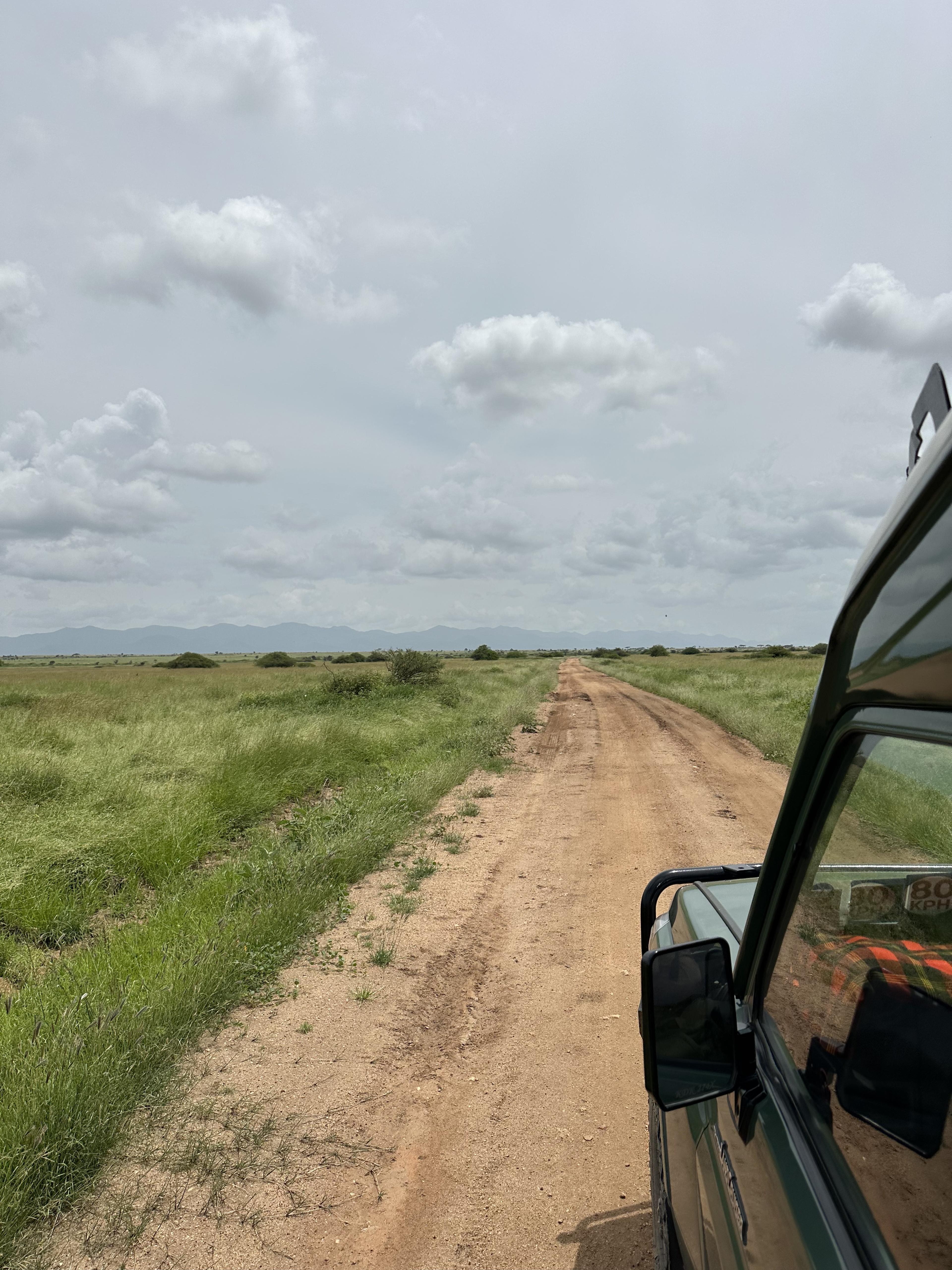 view out car window driving on dirt road through grassy plain