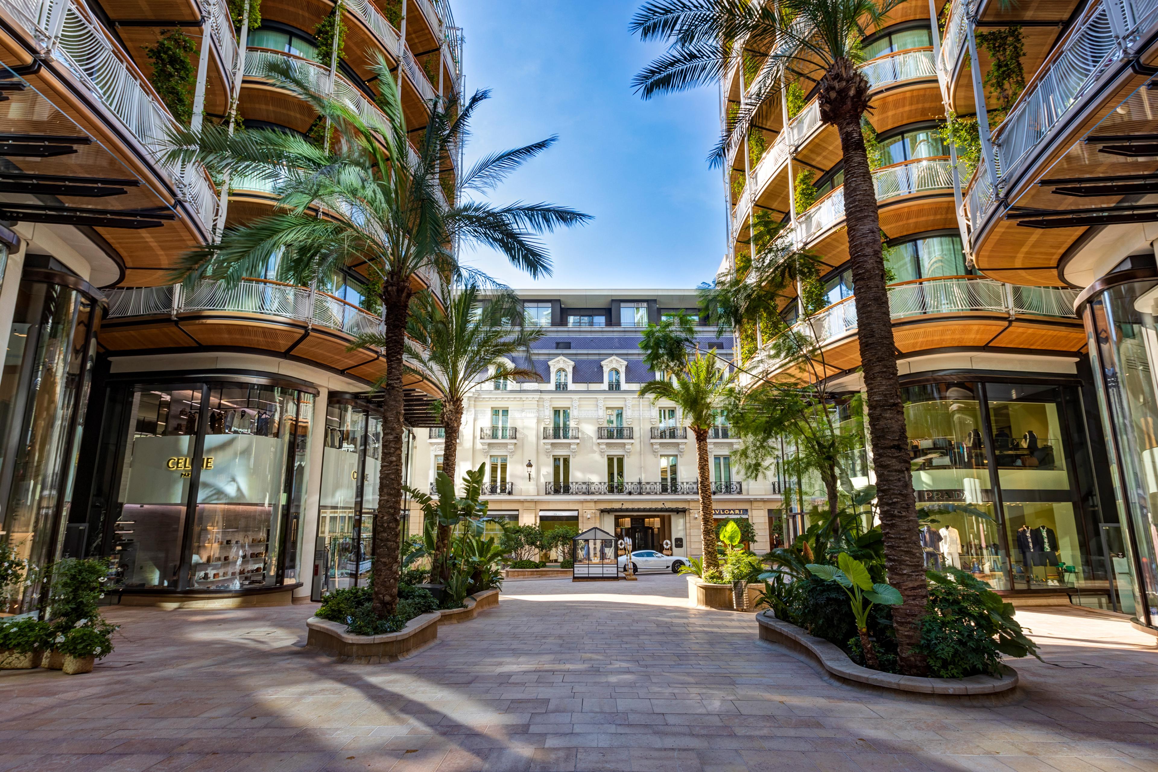 plaza with palm trees and tall white and orange buildings