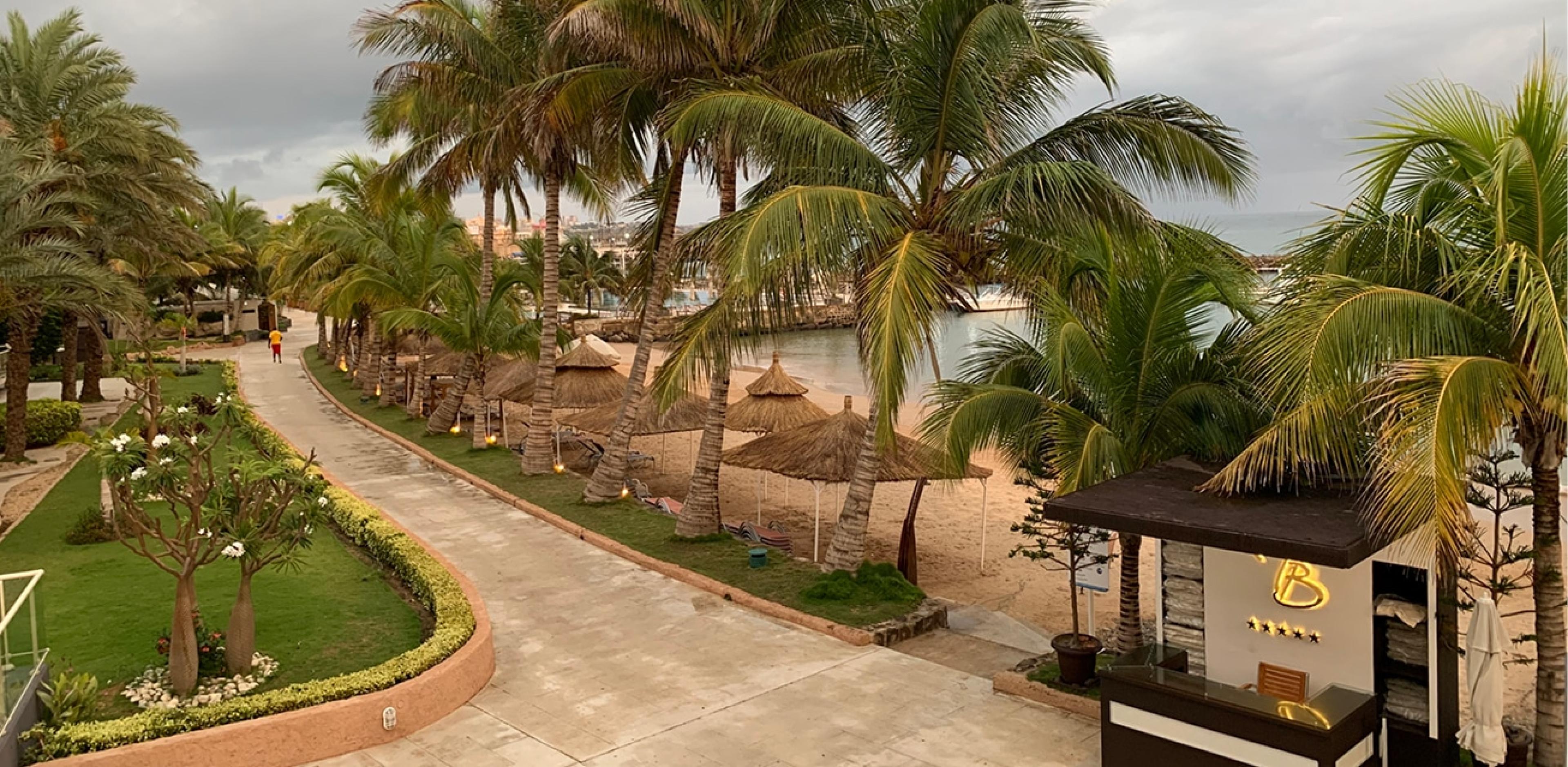 Looking Back, Dreaming Ahead: Discovering Senegal