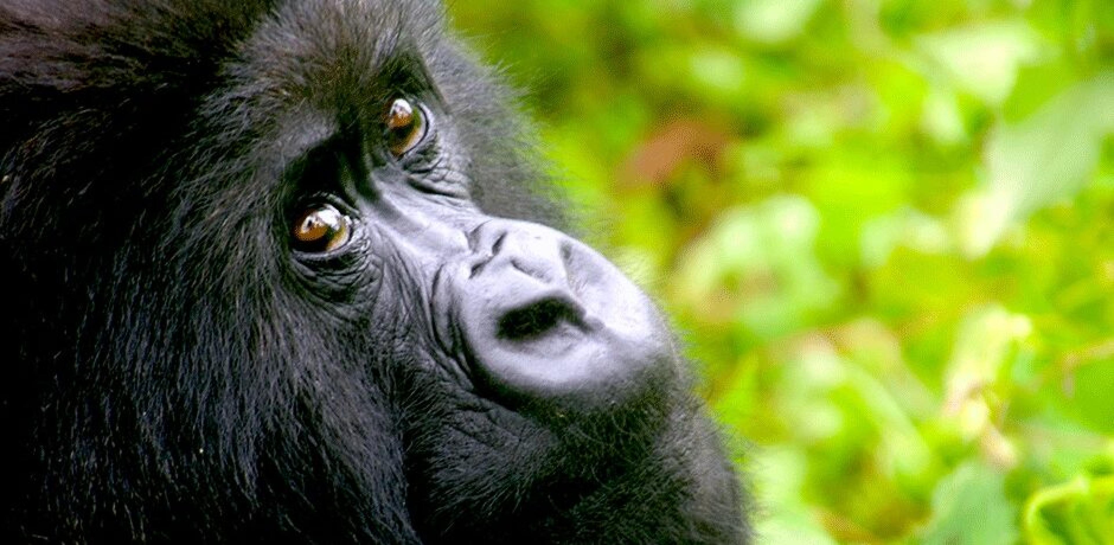 Rwanda Inspiration: Best Places to Stay, Eat and Explore